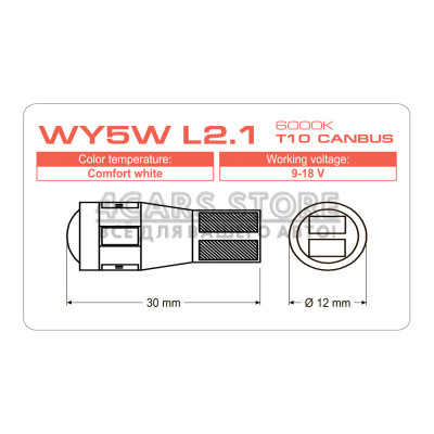 LED лампа AMS LONGLIFE WY5W L2.1 T10 CANBUS 6000K (180°)
